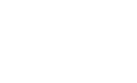 Expert